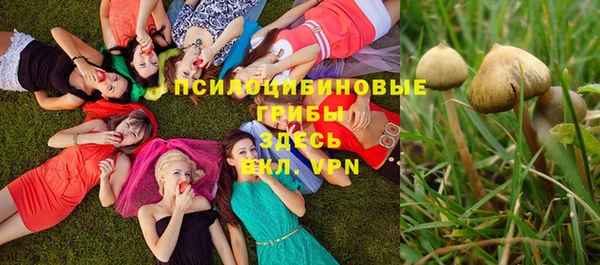 меф Бугульма
