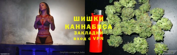 прущий лед Бородино