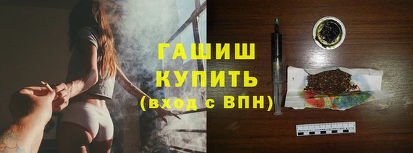 гидра Богородицк