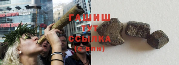 прущий лед Бородино