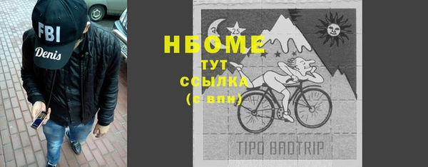 прущий лед Бородино
