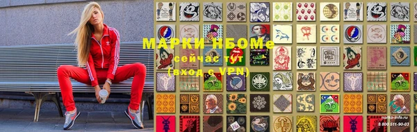 прущий лед Бородино