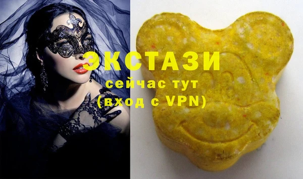 гидра Богородицк