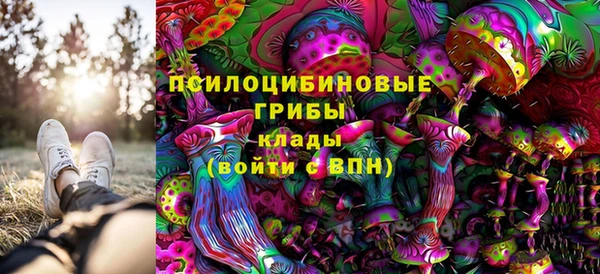 прущий лед Бородино