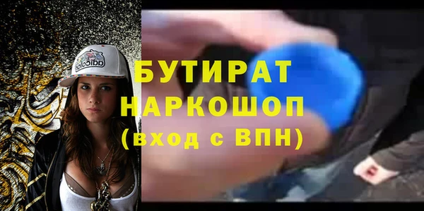 гидра Богородицк