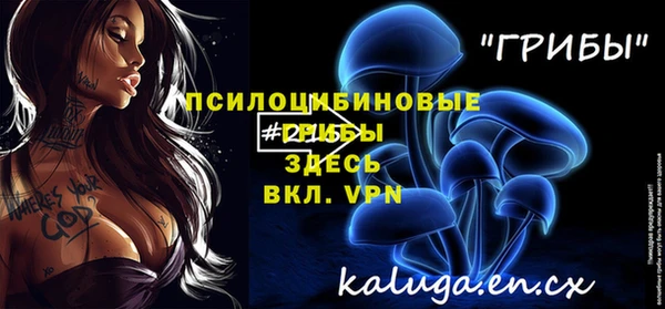 прущий лед Бородино